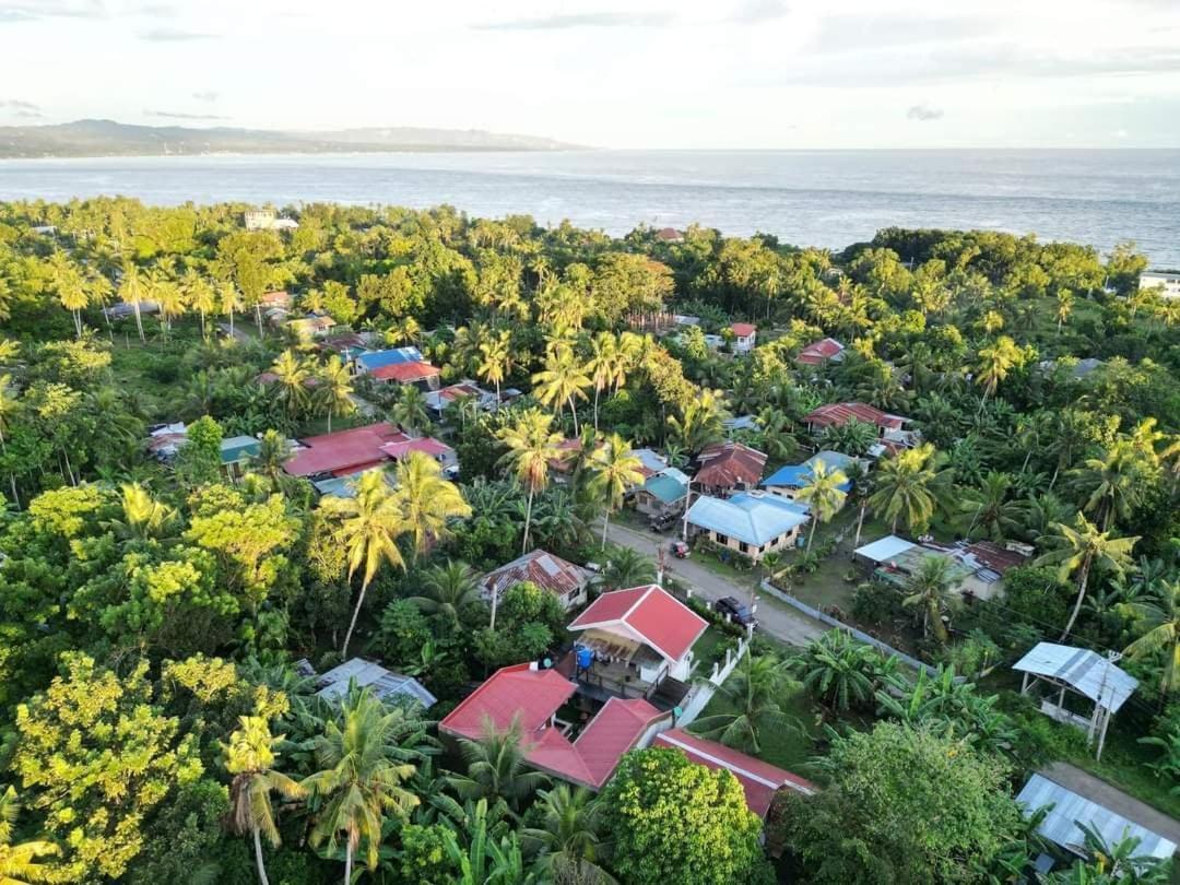 Casa Mia Inn داويس المظهر الخارجي الصورة